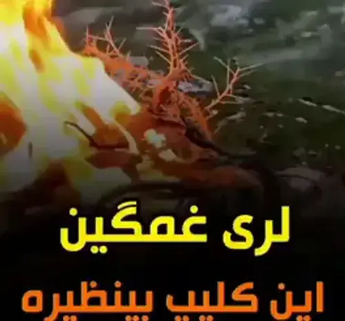 عکس فیلم لری برای وضعیت واتساپ جدید
