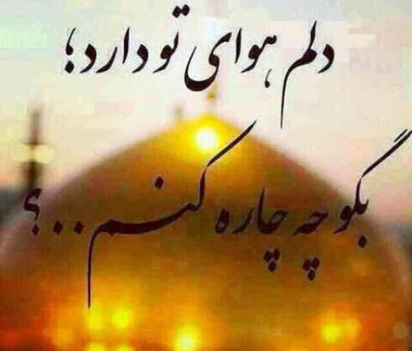 عکس وضعیت واتساپ دلم کربلا میخواد