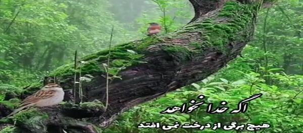 عکس کلیپ برای وضعیت واتساپ خدا غمگین