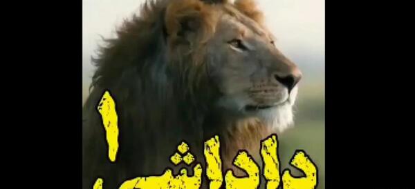 عکس وضعیت واتساپ رفیق با معرفت
