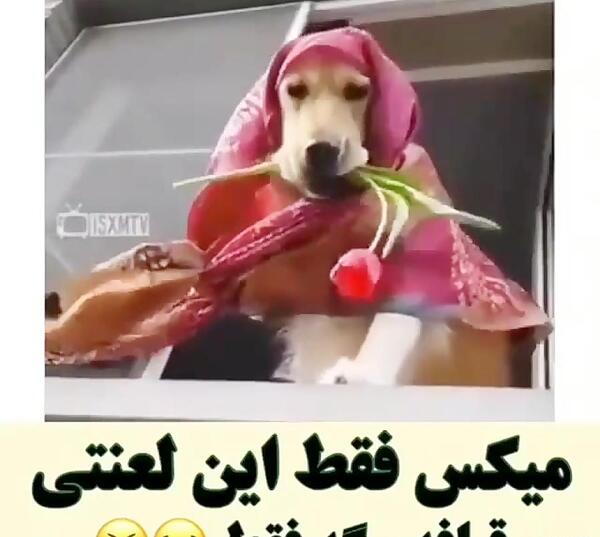 عکس کلیپ طنز خنده دار برای وضعیت واتساپ