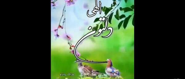 عکس وضعیت واتساپ شاد و پر انرژی