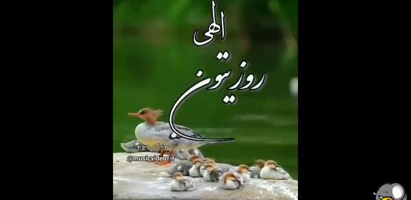 عکس وضعیت واتساپ شاد و پر انرژی