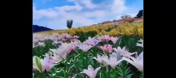 عکس وضعیت واتساپ شاد و پر انرژی