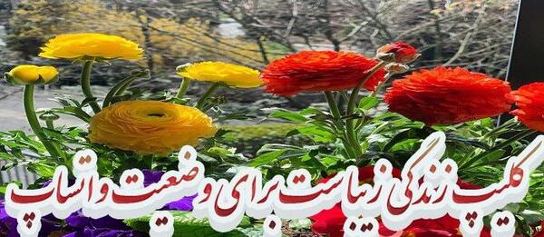 عکس وضعیت واتساپ شادی