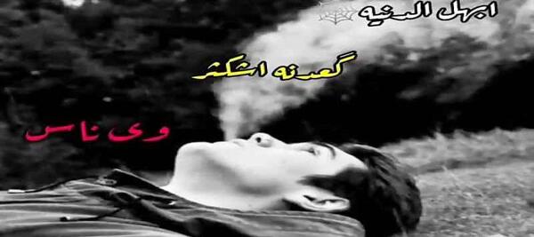 عکس ضاحی وضعیت واتساپ