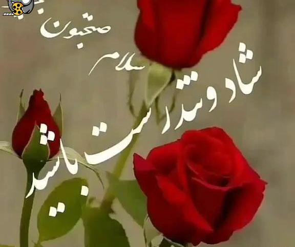 عکس وضعیت واتساپ صبح بخیر عاشقانه