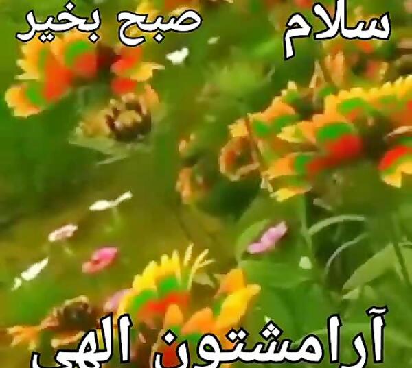 عکس وضعیت واتساپ صبح بخیر عاشقانه