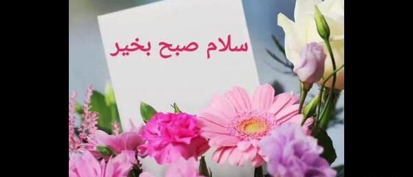 عکس وضعیت واتساپ صبح بخیر شاد