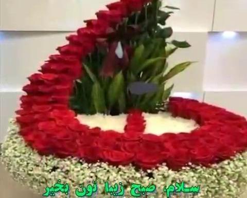 عکس وضعیت واتساپ صبح بخیر شاد