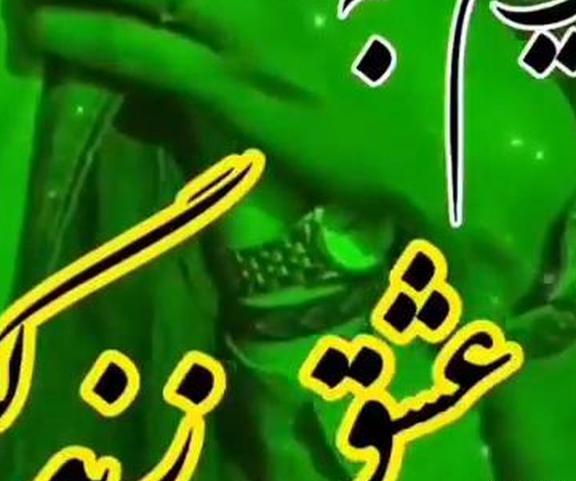 عکس کلیپ کوتاه برای وضعیت واتساپ شاد