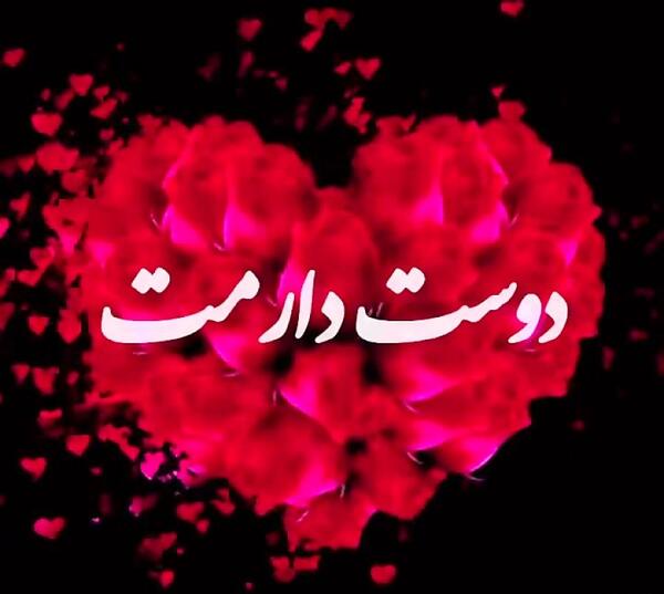 عکس کلیپ کوتاه برای وضعیت واتساپ شاد
