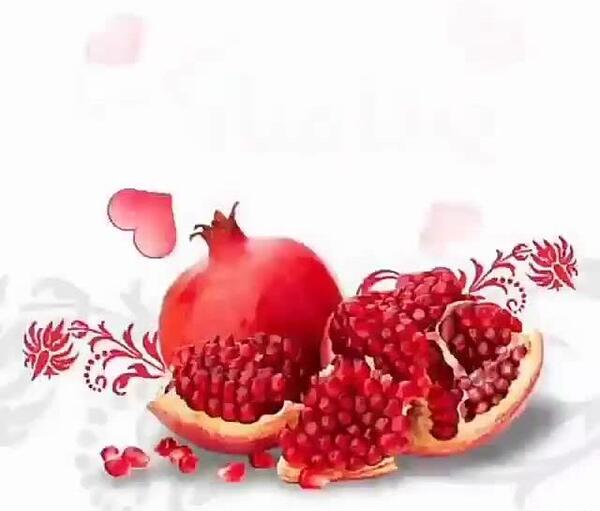 عکس کلیپ کوتاه برای وضعیت واتساپ شاد