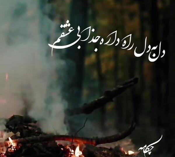 عکس وضعیت واتساپ شاد افغانی