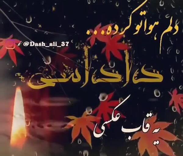 عکس وضعیت واتساپ شاد افغانی