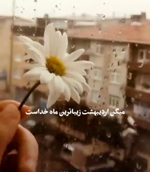 عکس وضعیت واتساپ شاد افغانی
