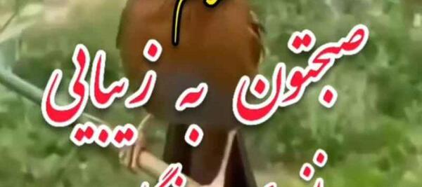 عکس وضعیت برای واتساپ سلام صبح بخیر