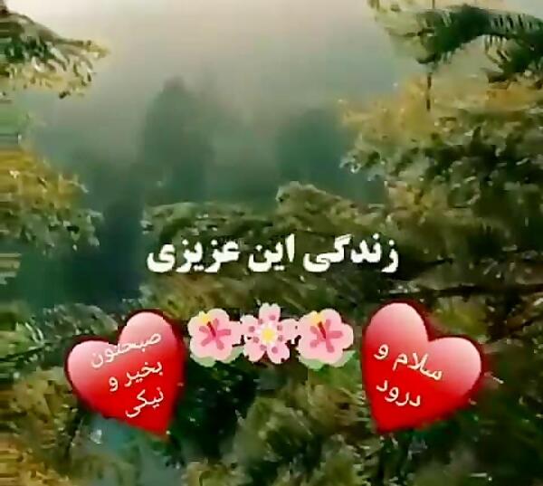 عکس وضعیت برای واتساپ سلام صبح بخیر