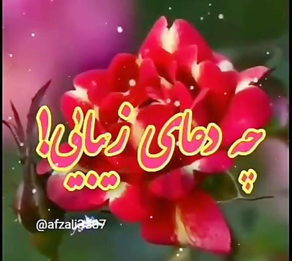 عکس وضعیت برای واتساپ سلام صبح بخیر