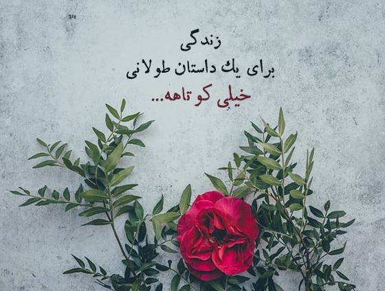 عکس وضعیت واتساپ در مورد زندگی
