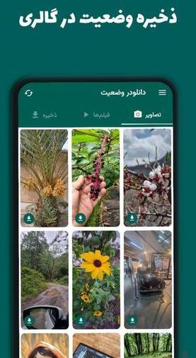 عکس ذخیره وضعیت واتساپ در گالری از بازار