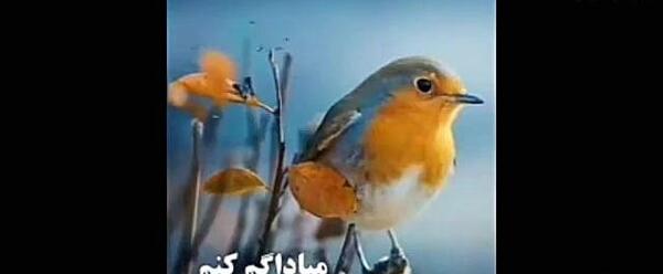 عکس دانلود وضعیت واتساپ درباره خدا
