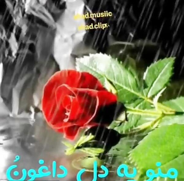 عکس استوری برای وضعیت واتساپ دلتنگی