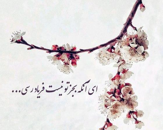 عکس دانلود وضعیت واتساپ خدایا شکرت