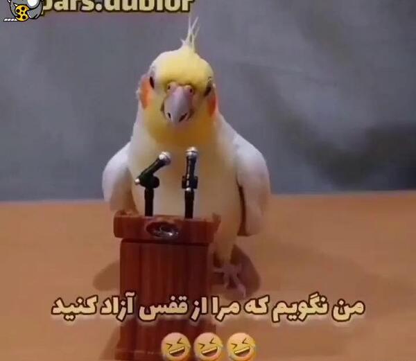 عکس کلیپ خنده دار جدید برای وضعیت واتساپ
