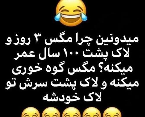 عکس کلیپ خنده دار جدید برای وضعیت واتساپ