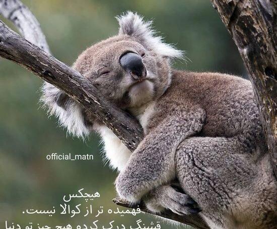 عکس پروفایل وضعیت واتساپ خنده دار