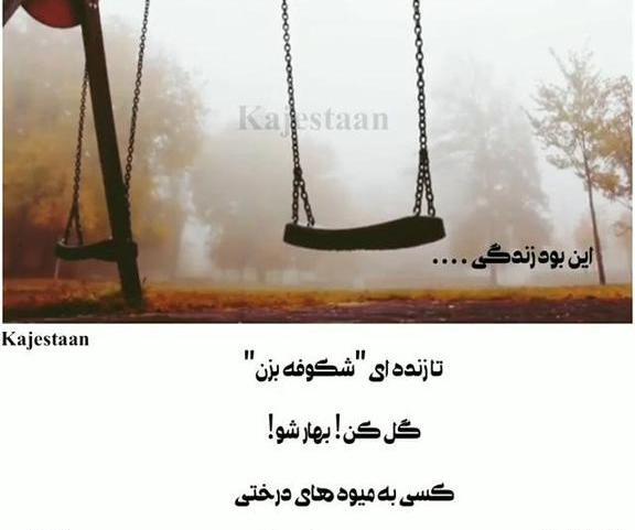 عکس وضعیت واتساپ از حسین پناهی