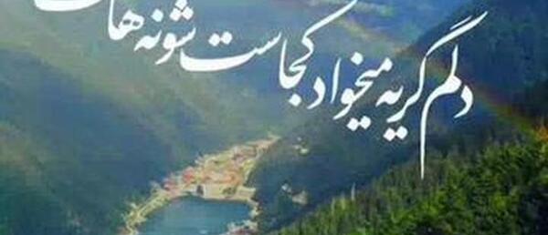 عکس کلیپ حجت اشرف زاده برای وضعیت واتساپ