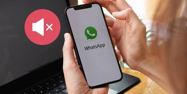 عکس بي صدا كردن وضعیت واتساپ چیست