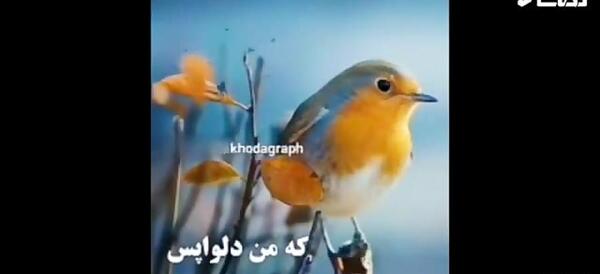 عکس کلیپ جدید برای وضعیت واتساپ خدا