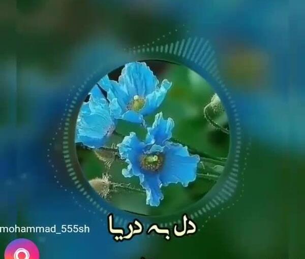 عکس فیلم سی ثانیه ای برای وضعیت واتساپ