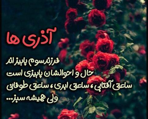 عکس وضعیت واتساپ تولد همسر آذر ماهی