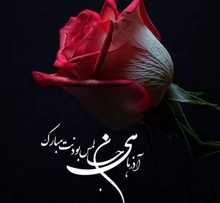 عکس وضعیت واتساپ تولد همسر آذر ماهی