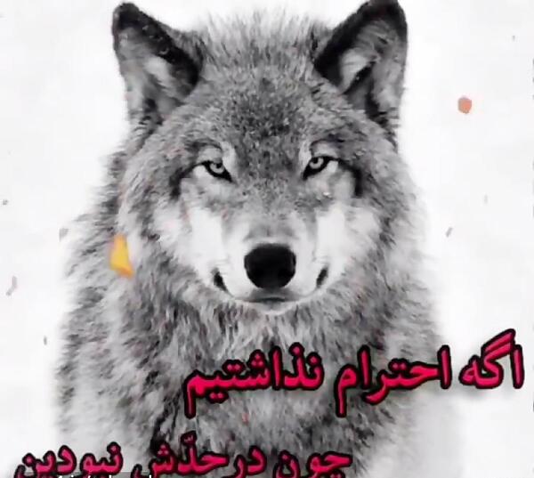 عکس فیلم برای وضعیت واتساپ تیکه دار سنگین