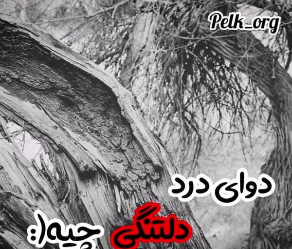عکس کلیپ وضعیت واتساپ تنهایی