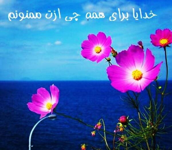 عکس وضعیت واتساپ خدایا ممنونم