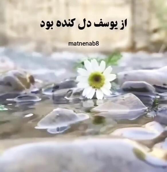 عکس وضعیت واتساپ خدایا ممنونم
