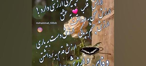 عکس آپارات وضعیت واتساپ