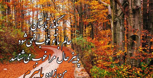 عکس وضعیت واتساپ منظره با اهنگ