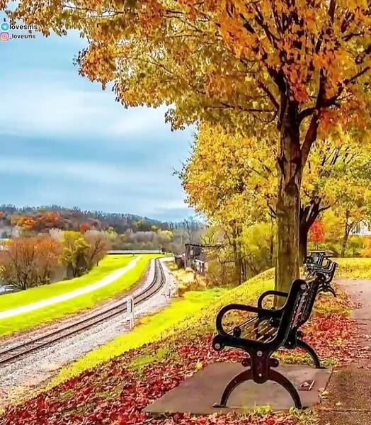 عکس وضعیت واتساپ منظره با اهنگ