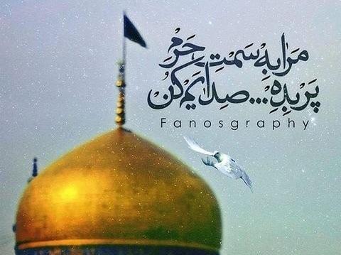 عکس وضعیت واتساپ ولادت امام رضا علیه السلام