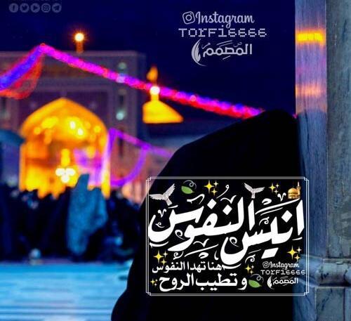 عکس وضعیت واتساپ برای تولد امام رضا
