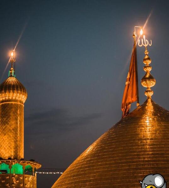 عکس فیلم برای وضعیت واتساپ امام حسین