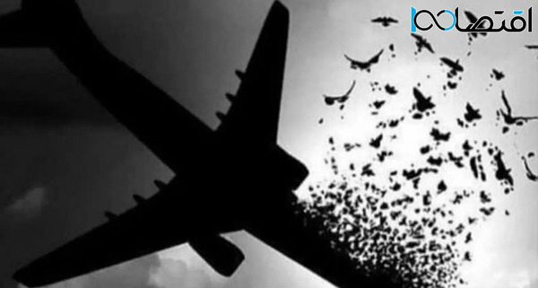 عکس استوری هواپیمای اوکراینی