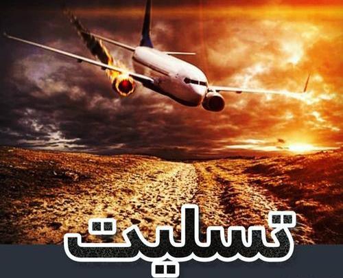 عکس استوری هواپیمای اوکراینی